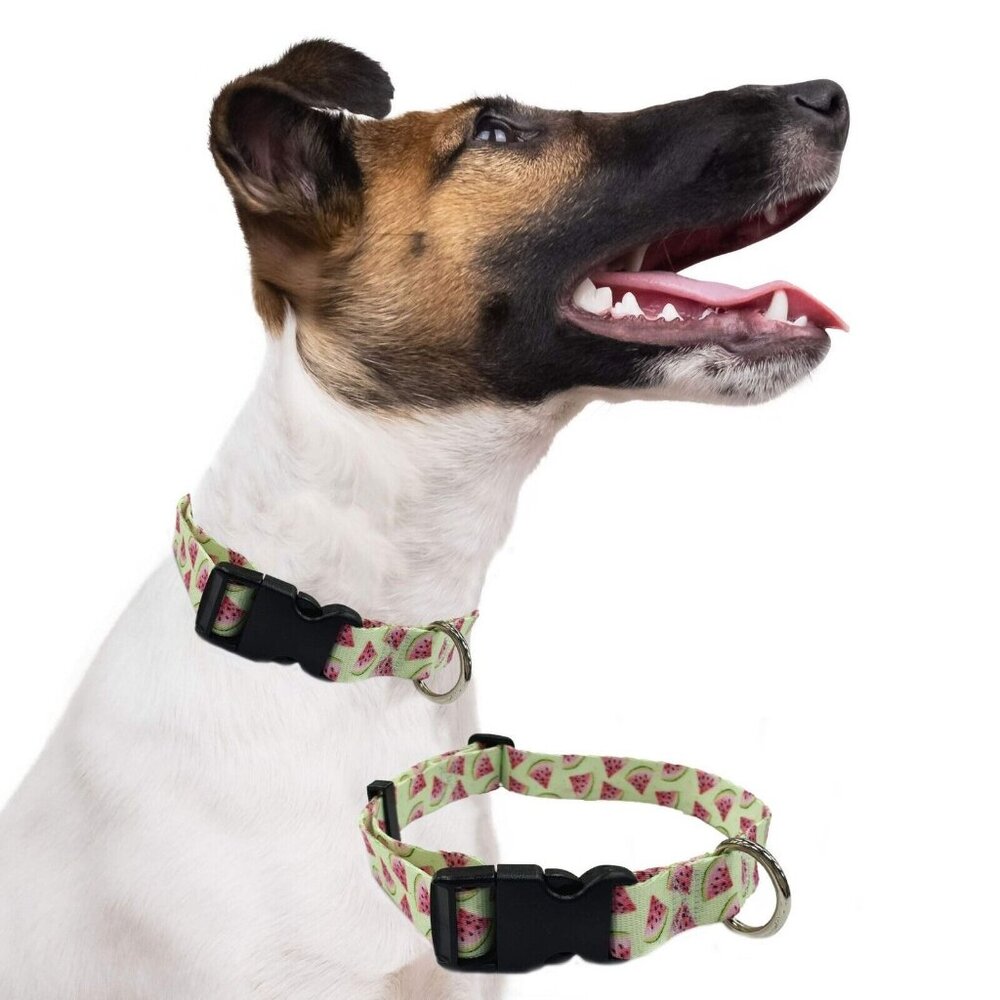 Perri's Dog Collar Medium Adjustable Watermelon D-ring buckle NWT - Picture 2 of 3